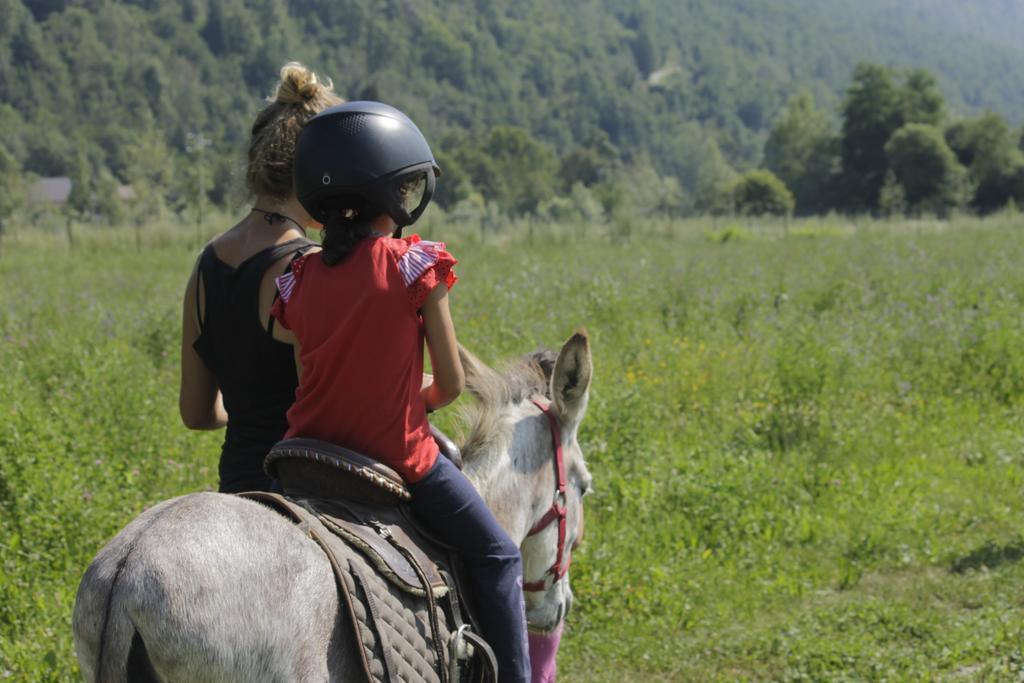 ديمونتيه Wolf Village المظهر الخارجي الصورة